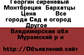 Георгин сиреневый. Монтбреция. Бархатцы.  › Цена ­ 100 - Все города Сад и огород » Другое   . Владимирская обл.,Муромский р-н